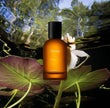 Aesop Karst Sample