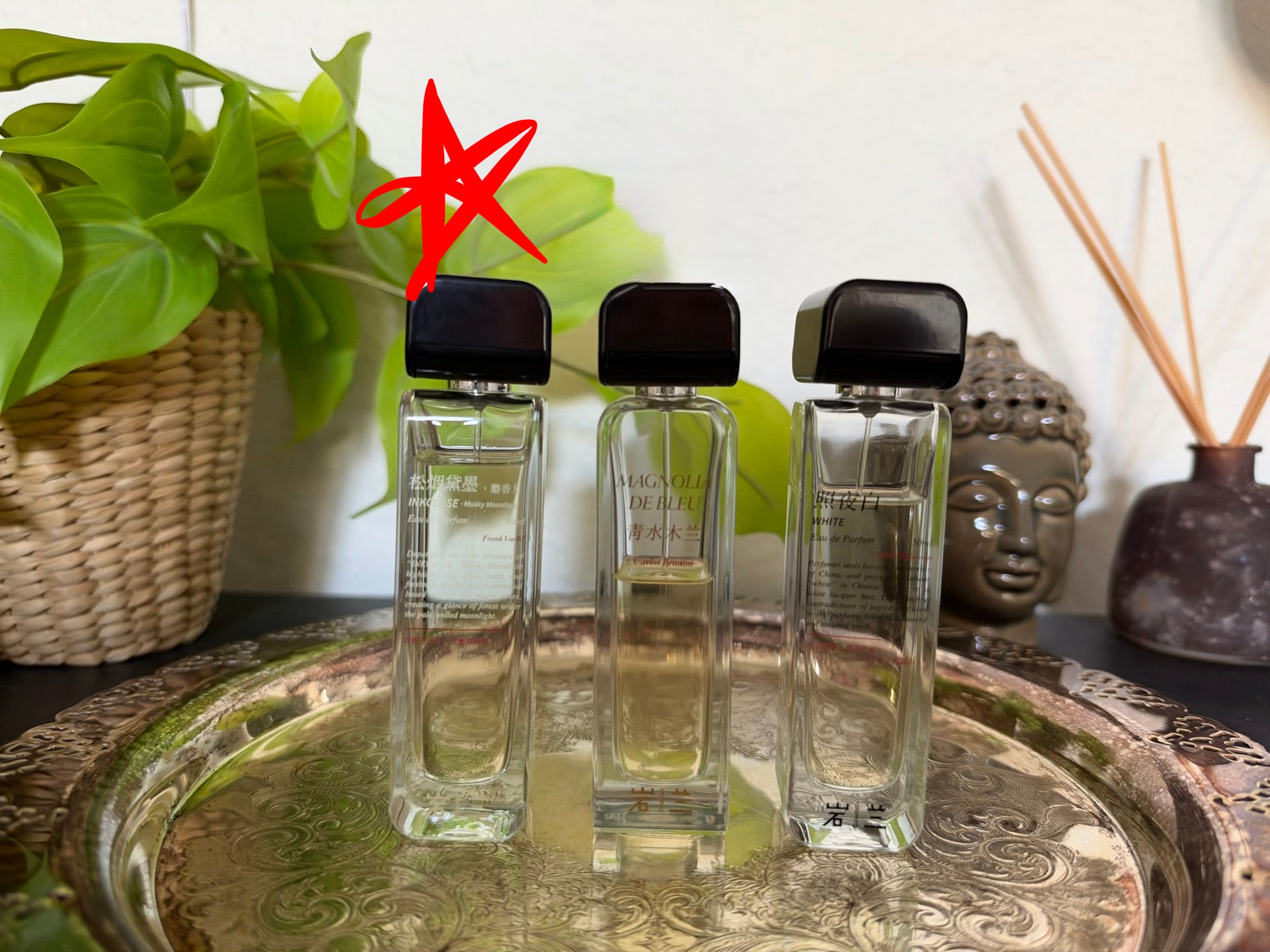 Aromag Inkcense Musky Moonlight 50ml (Full Bottle)