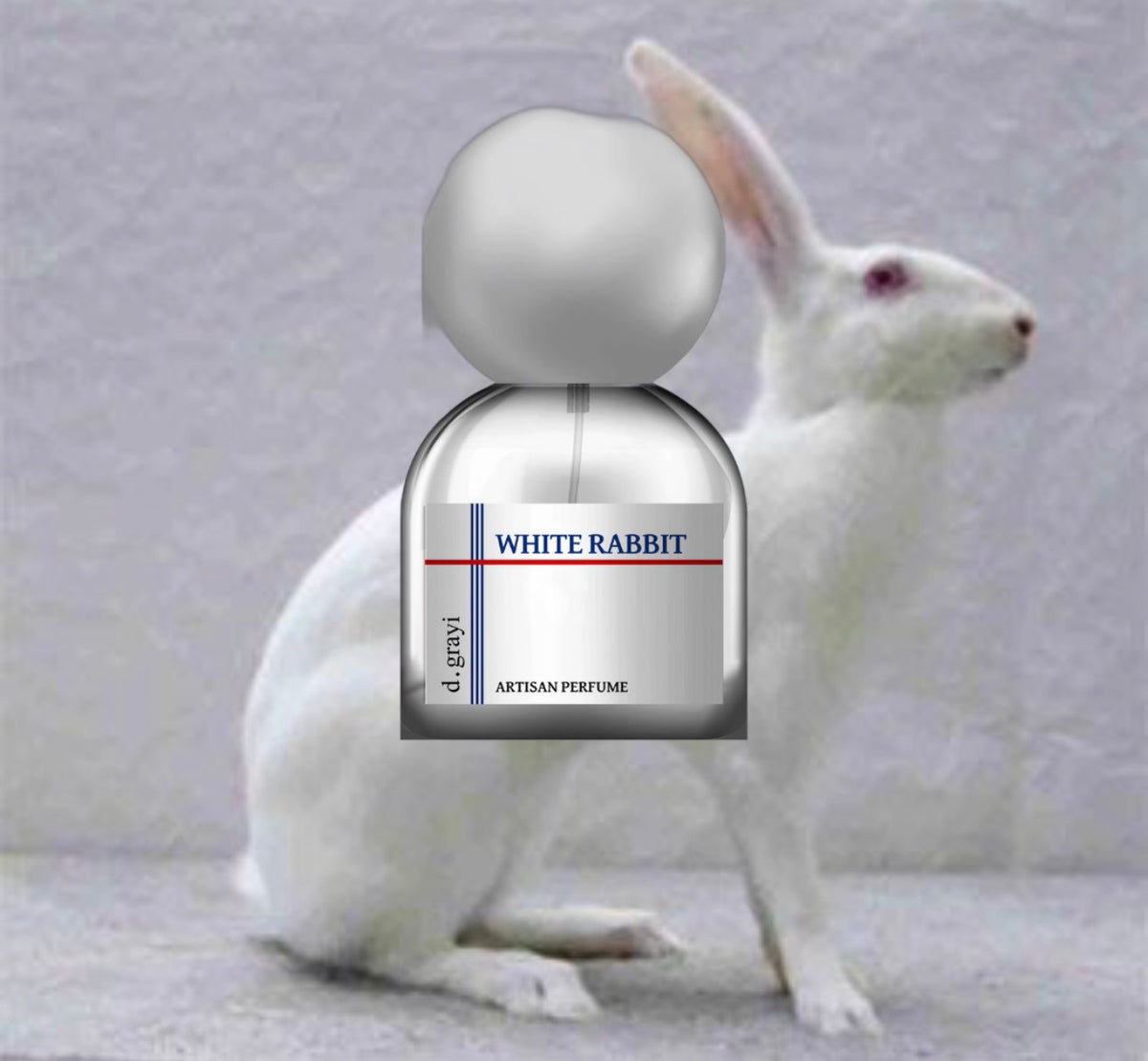 D.grayi White Rabbit Sample