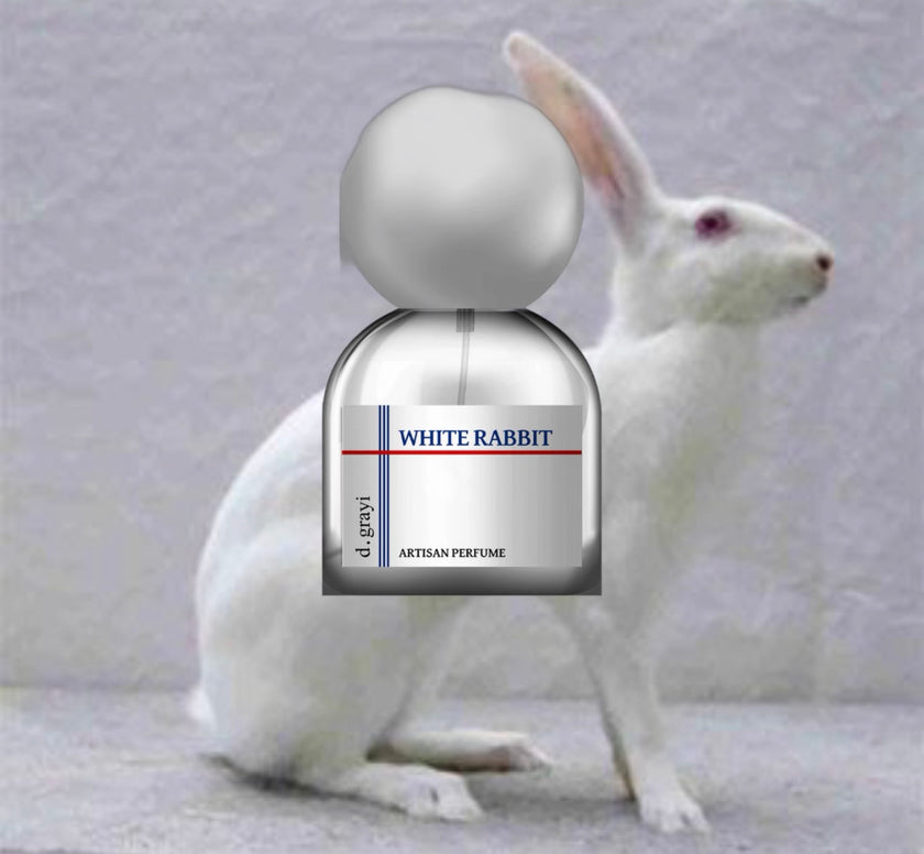 D.grayi White Rabbit Sample