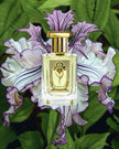Soul Artisan Opulant Iris Sample