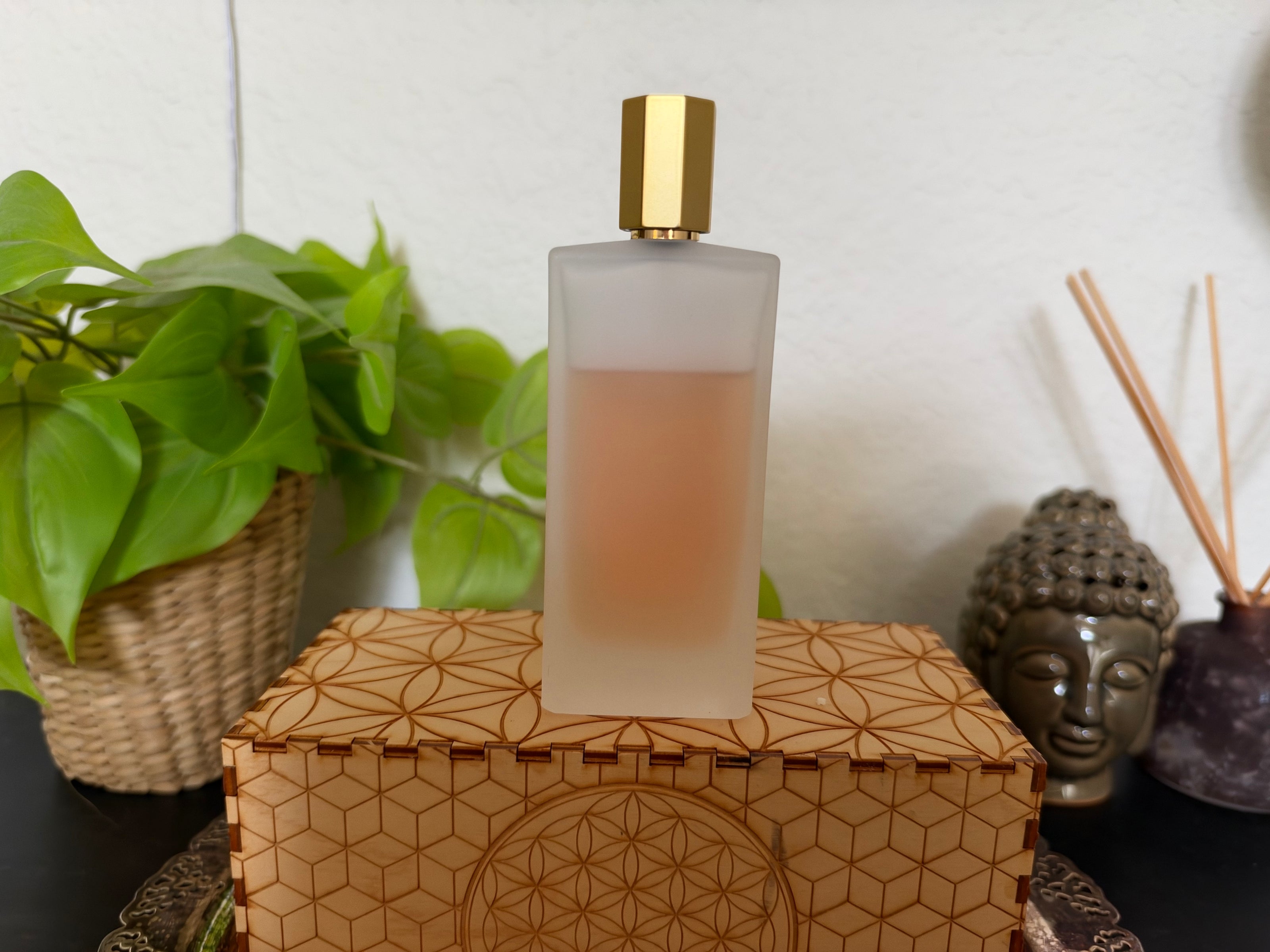 Memo Paris Omnia Omnibus Urique 100ml (Full Bottle)