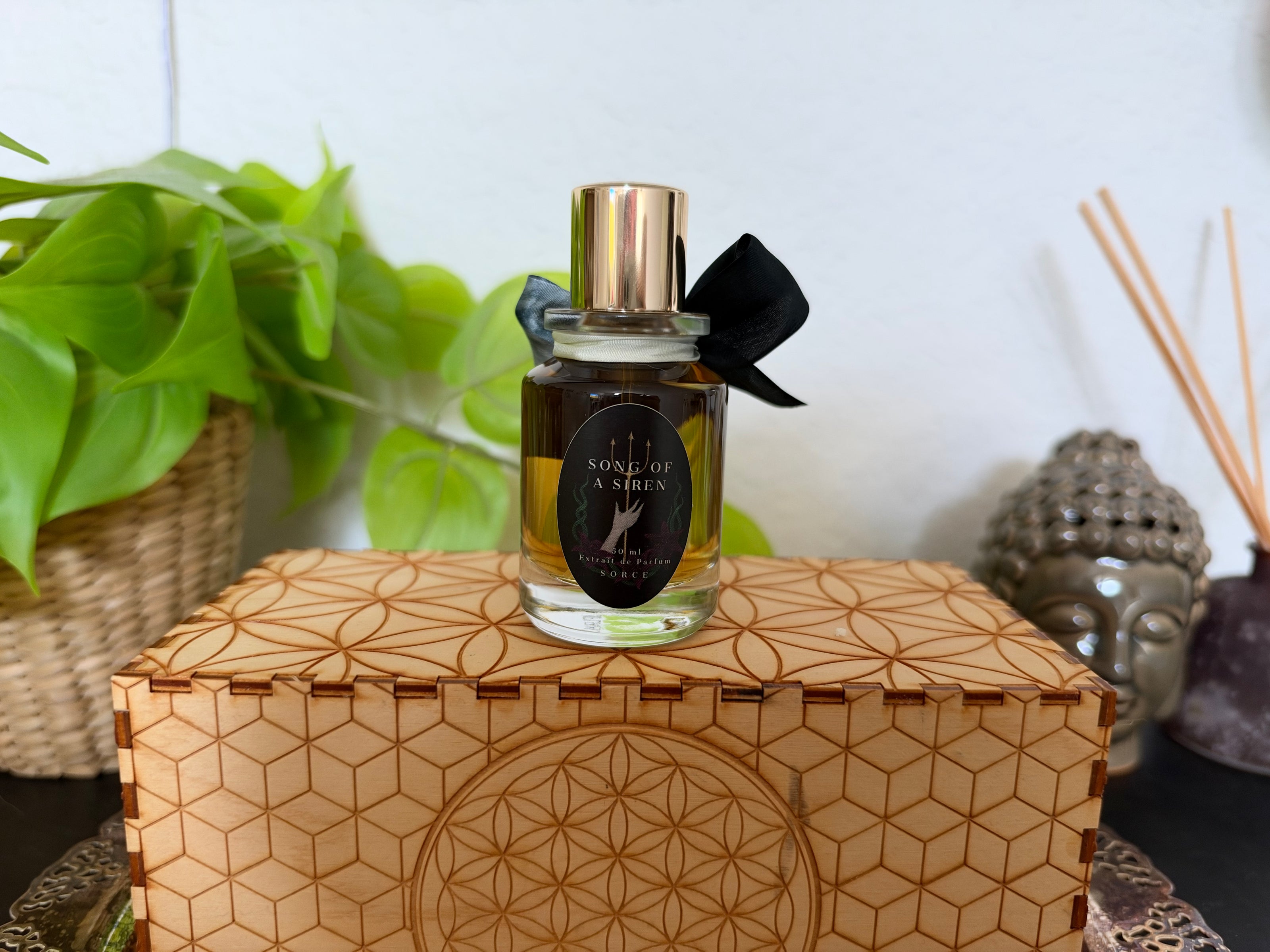 Sorce Song of a Siren 50ml (Full Bottle)