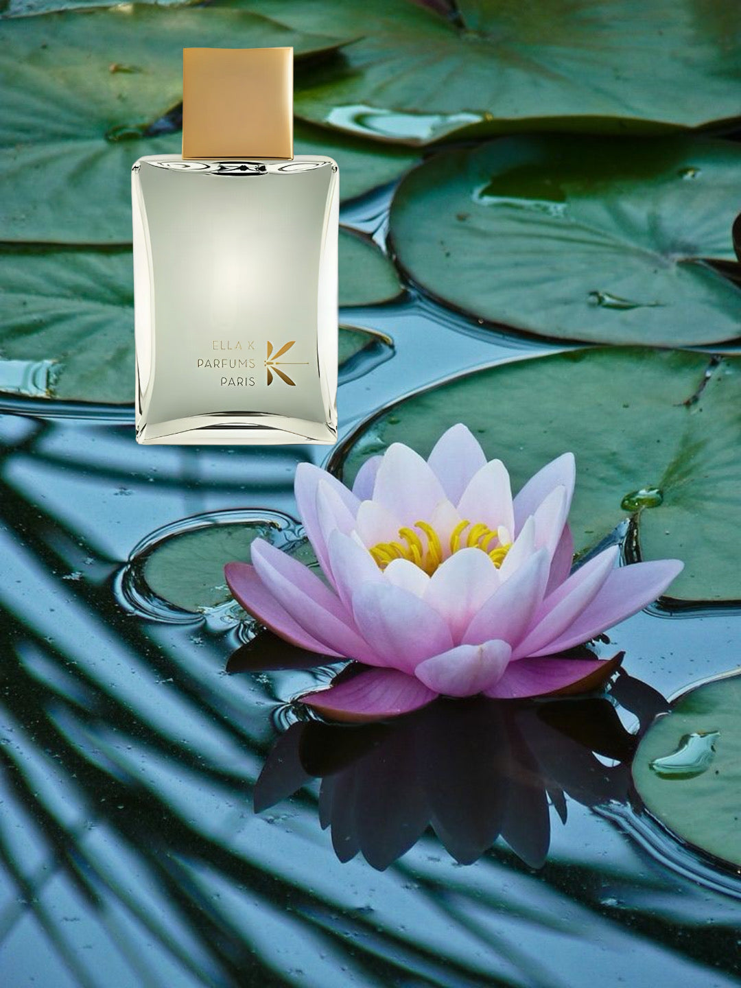 Ella K Pluie Sur Ha Long Sample