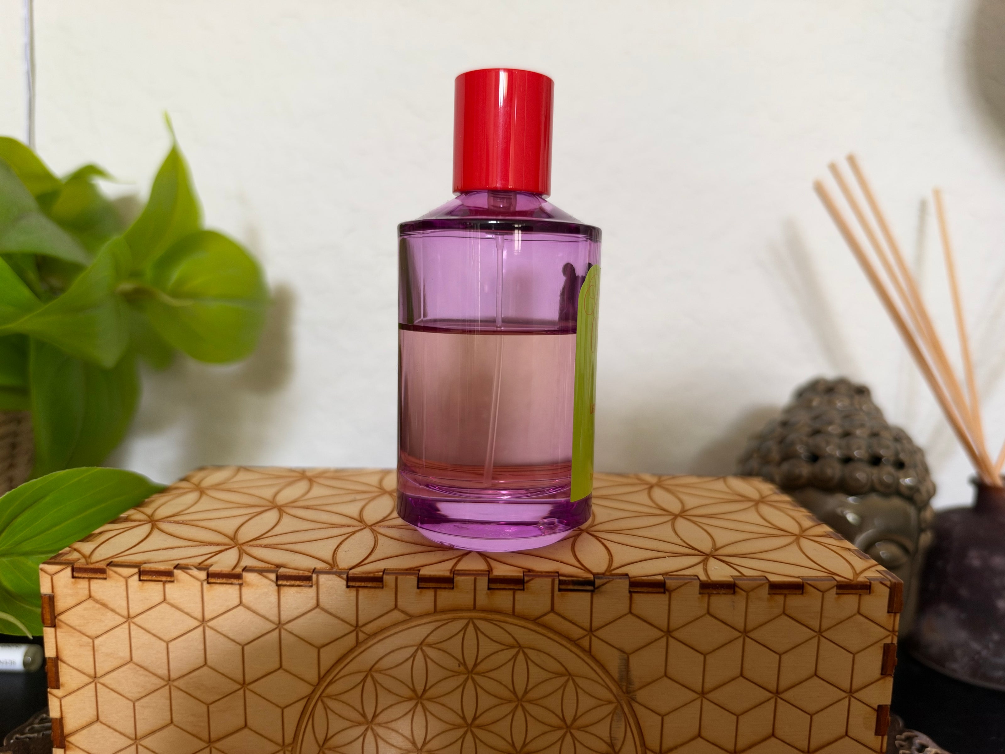 French Cowboy Fig Lemonade 100ml