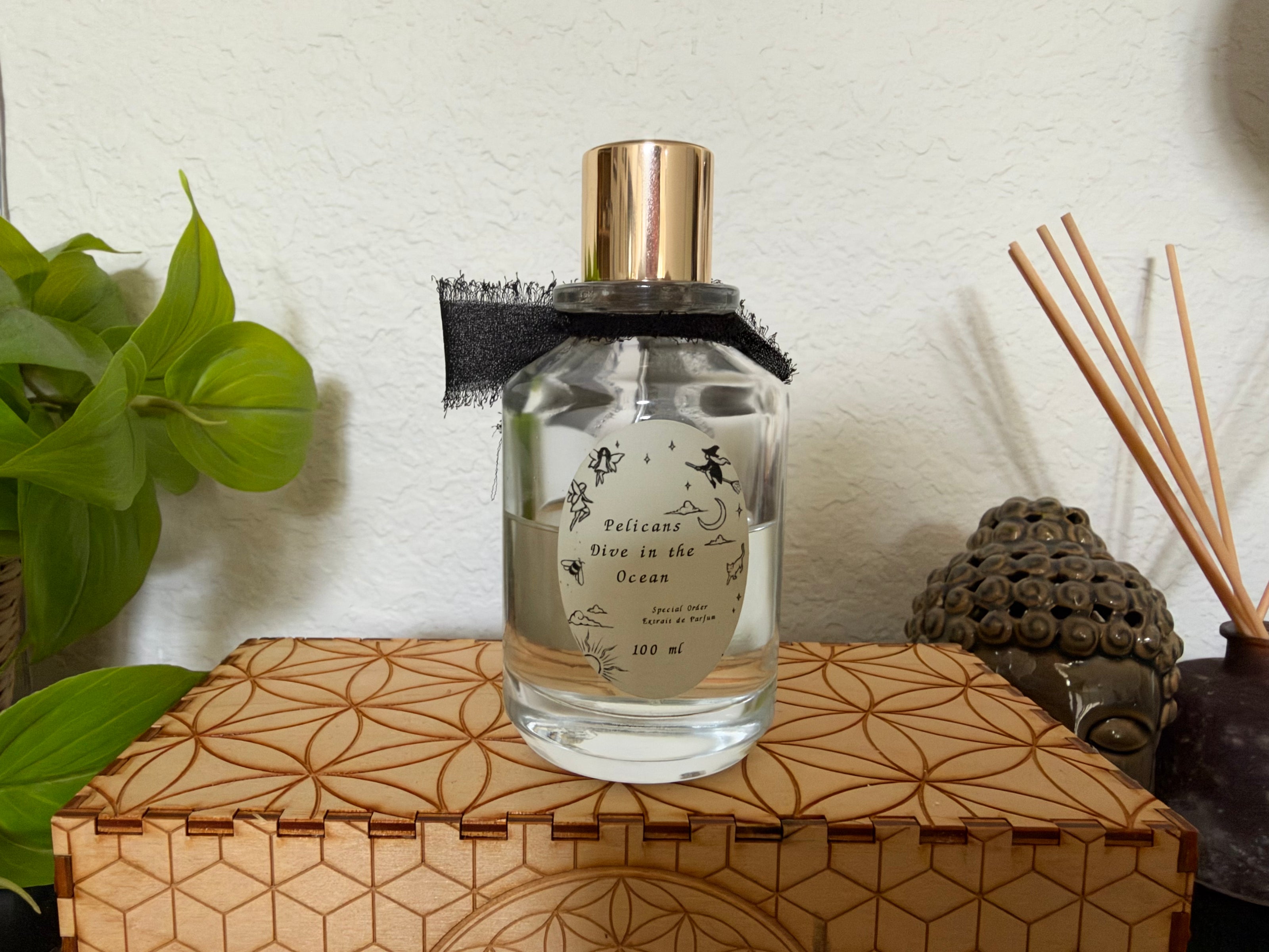 Sorce Pelicans Dive in the Ocean 100ml