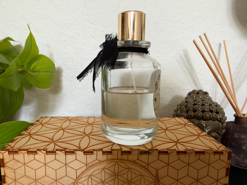 Sorce Pelicans Dive in the Ocean 100ml