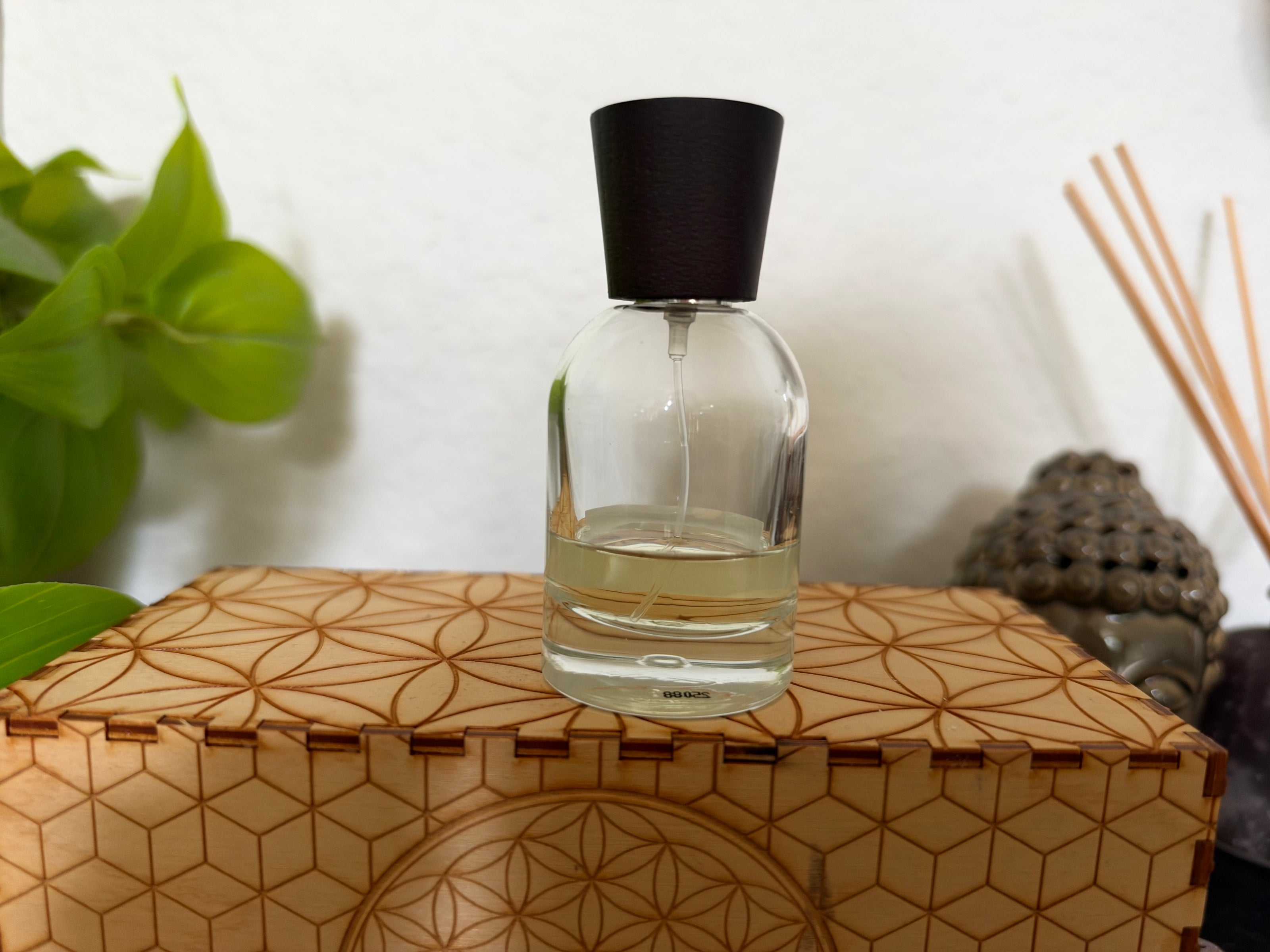 Gabar No II Ground 50ml