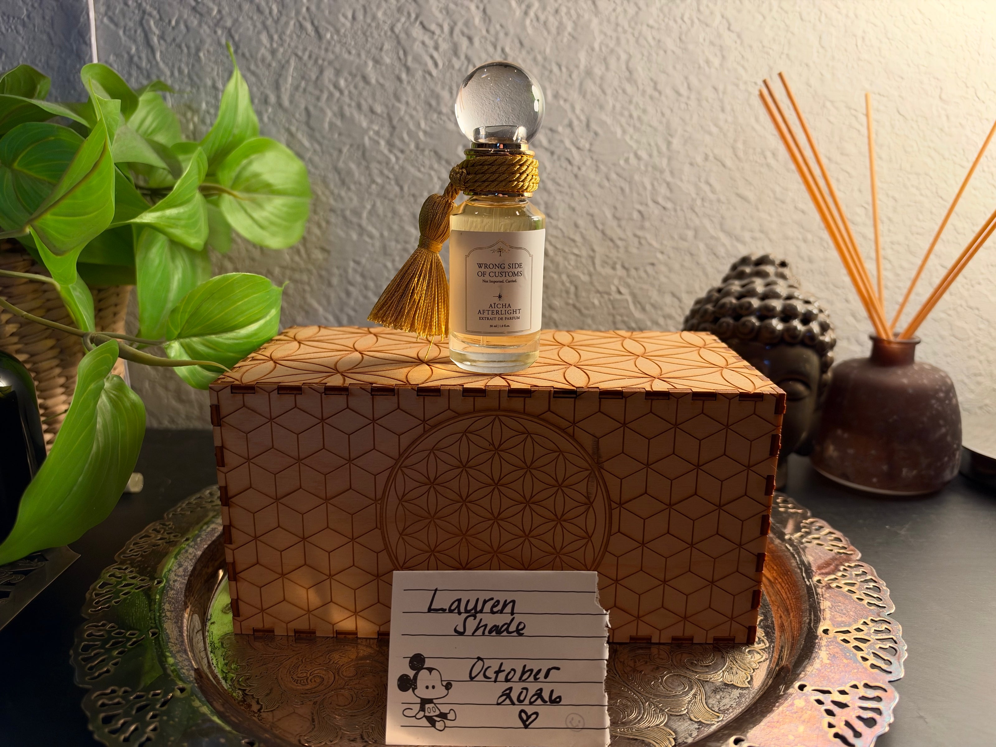 Aicha Afterlight 30ml