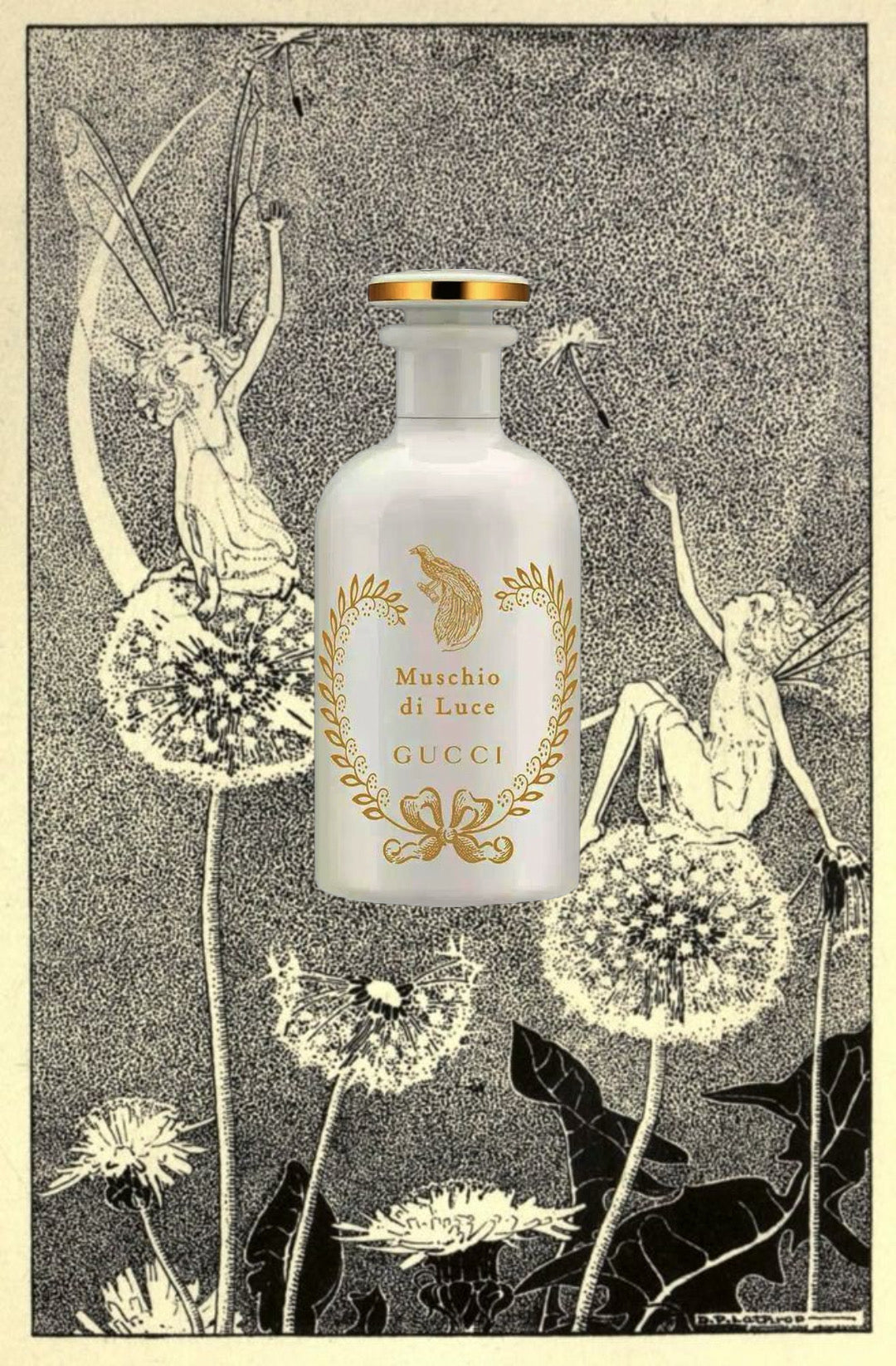 Gucci Muschio di Luce Sample