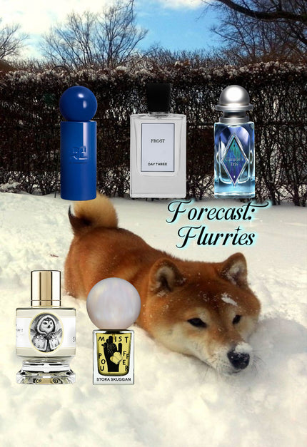 Curated Sample Pack - Forecast: Flurries