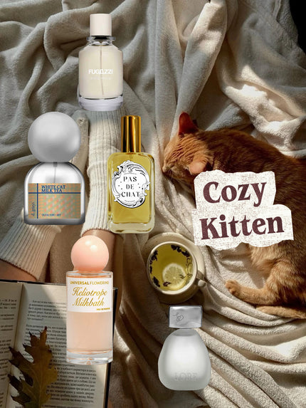 Curated Sample Pack - Cozy Kitten