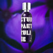 WWDIS Studio Particulier Sample