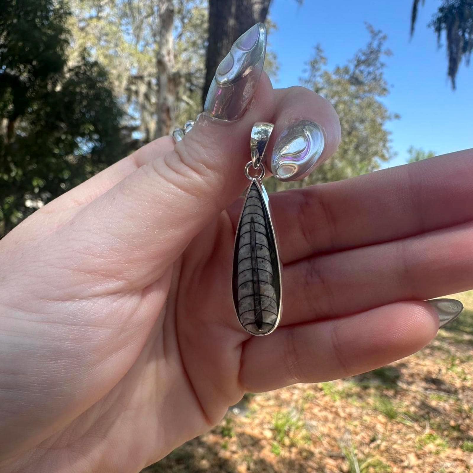 925 Sterling Silver Fossilized Cephalopod Pendant