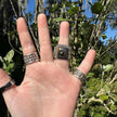 Sterling Silver Picture Jasper Ring Size 5