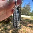 925 Sterling Silver Fossilized Cephalopod Pendant