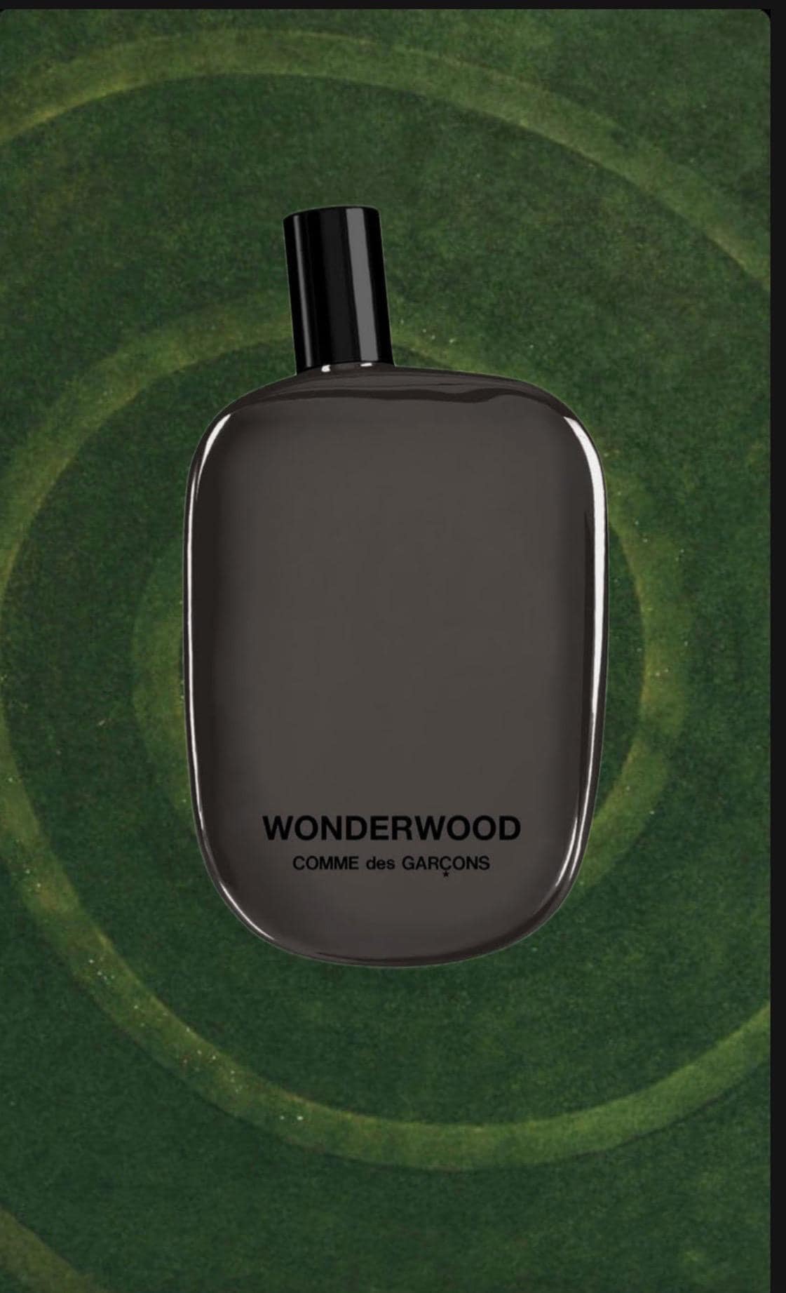 Comme des Garcons Wonderwood Sample