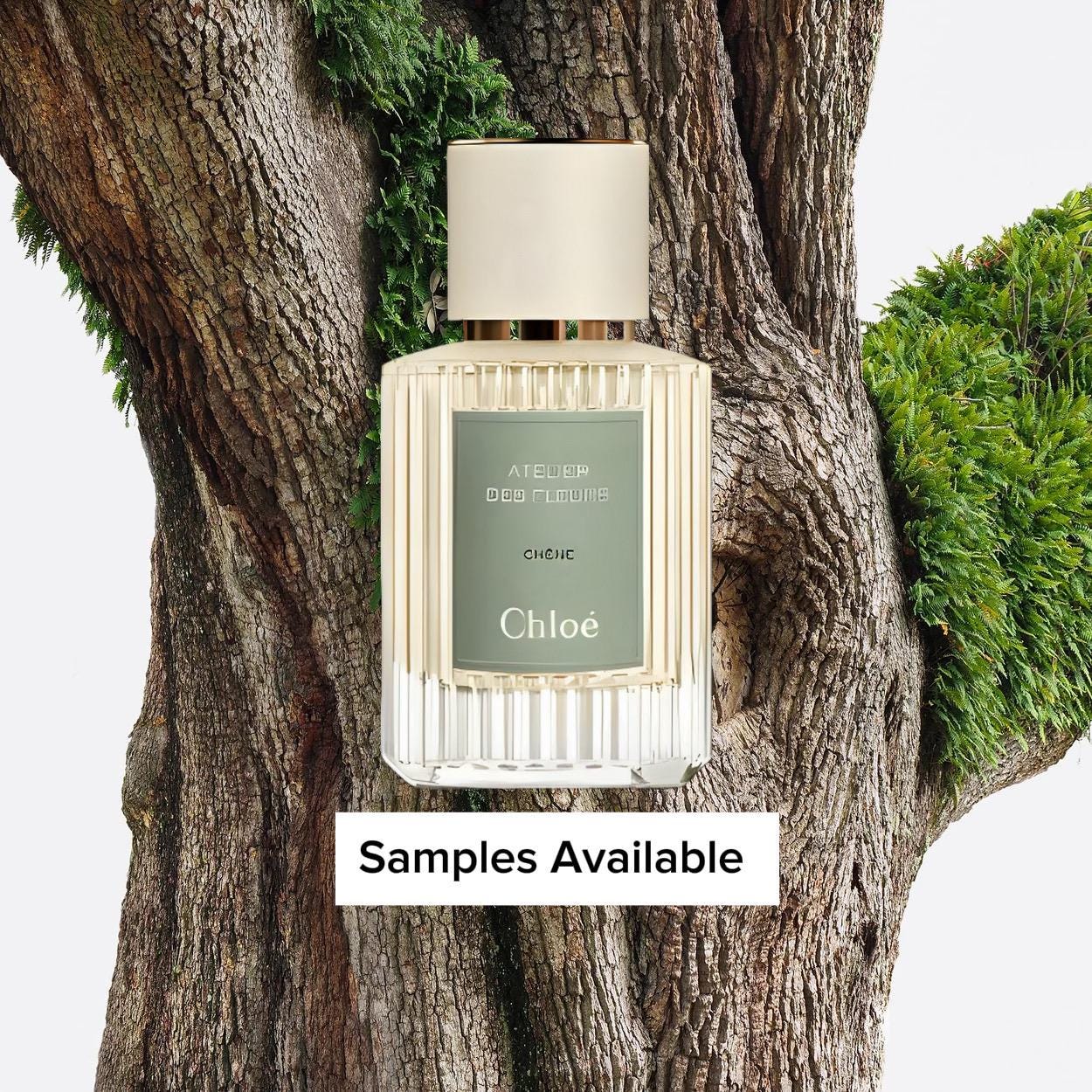 Chloe Chene Sample