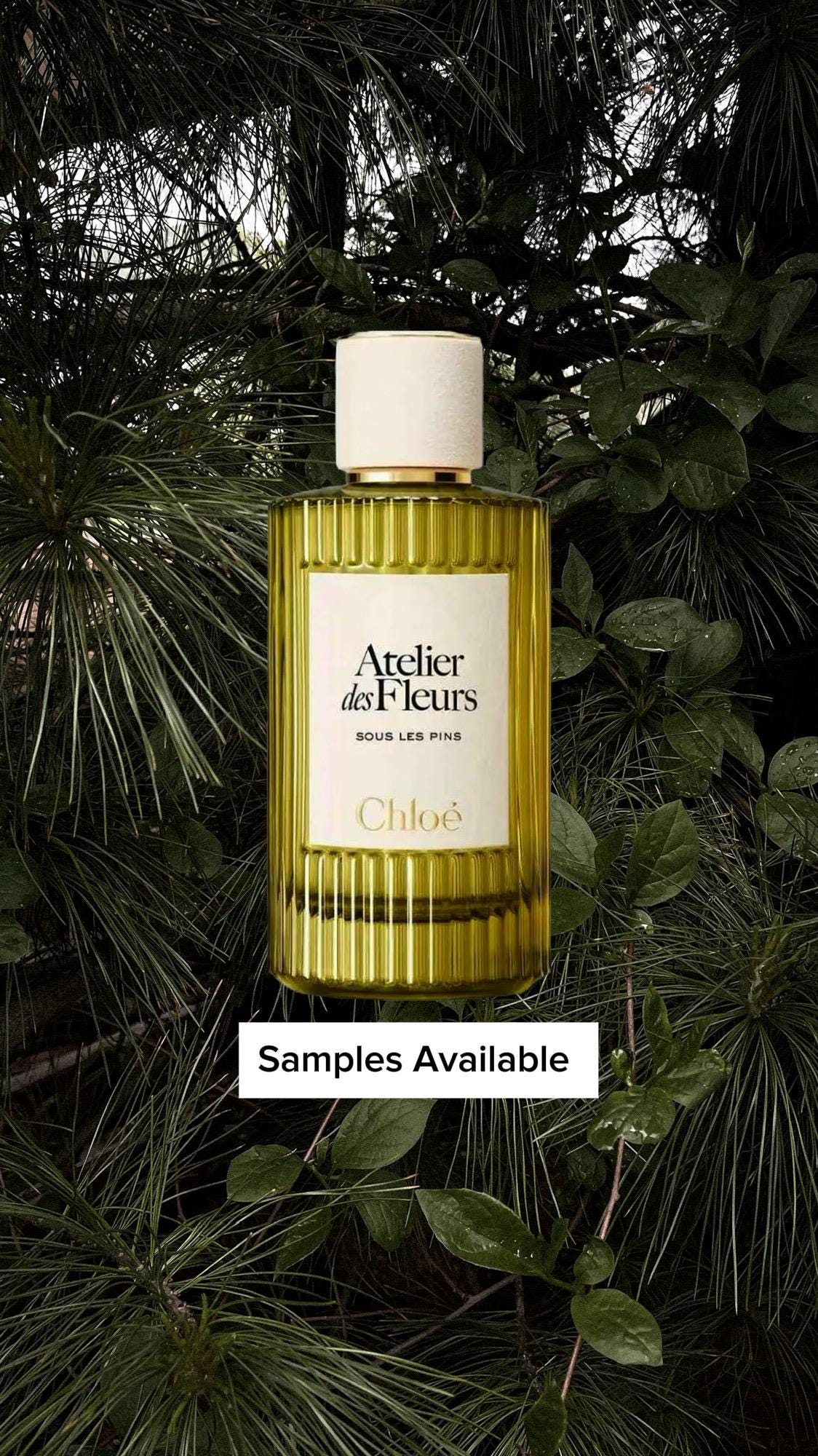Chloe Sous Les Pins Sample