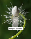 Perfume Who The Very Eye of Night Sample