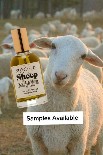 Thin Wild Mercury Sheep Meadow Sample