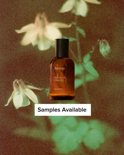 Aesop Above Us, Steorra Sample