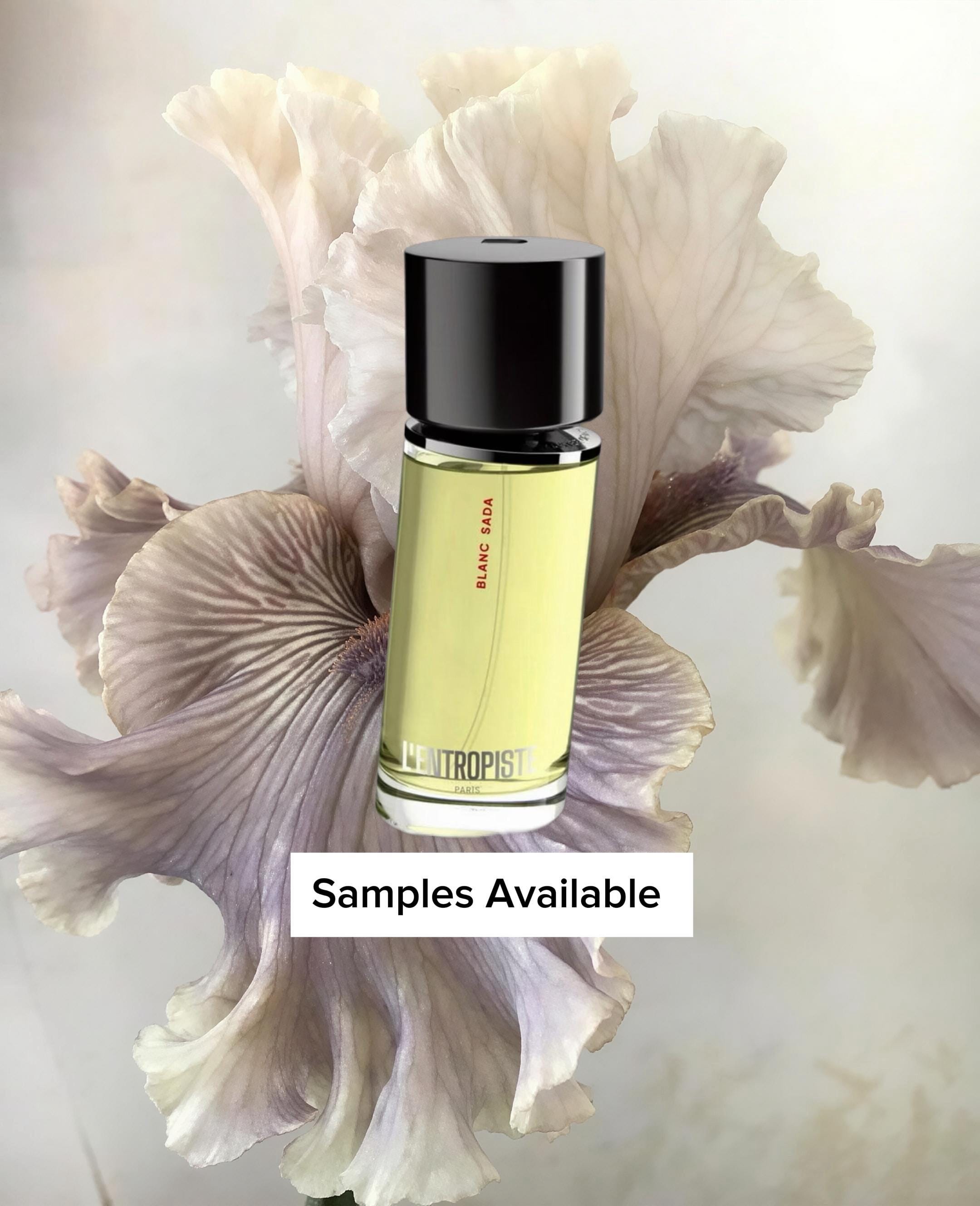 L'Entropiste Blanc Sada Sample