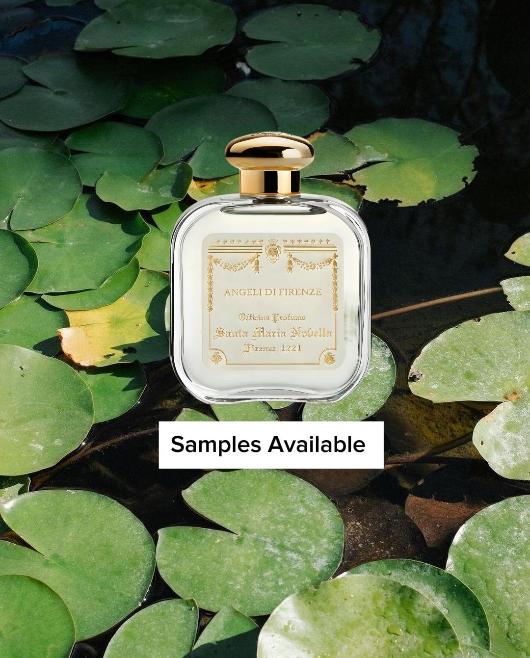 Santa Maria Novella Angeli di Firenze Sample
