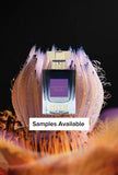 MITH Amethyst Pollen Sample