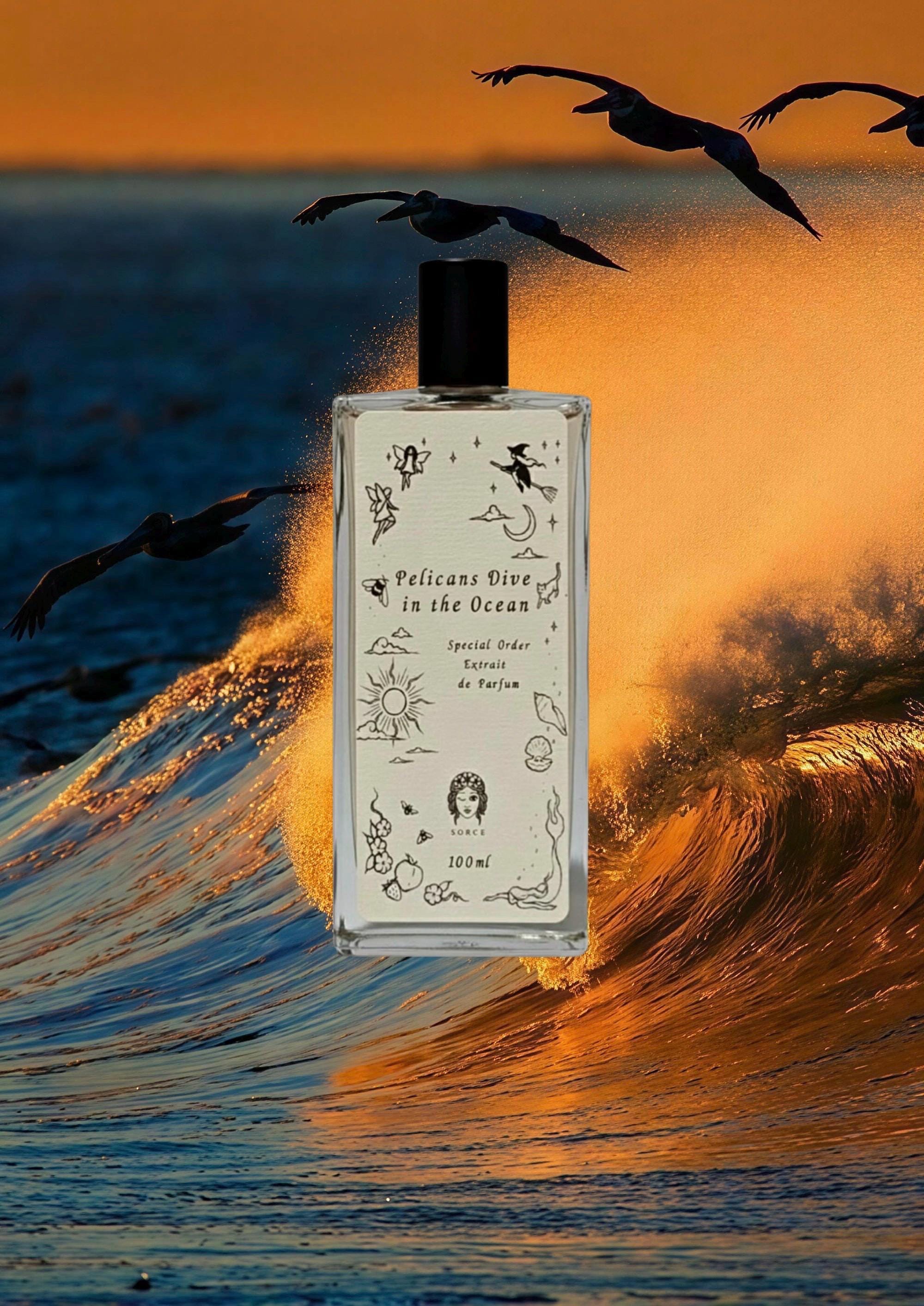 Sorce Pelicans Dive in the Ocean Sample