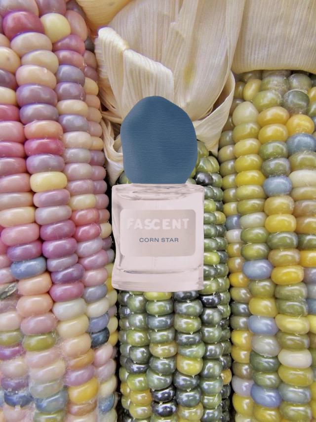 Fascent Corn Star Sample