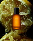 Aesop Tacit Sample