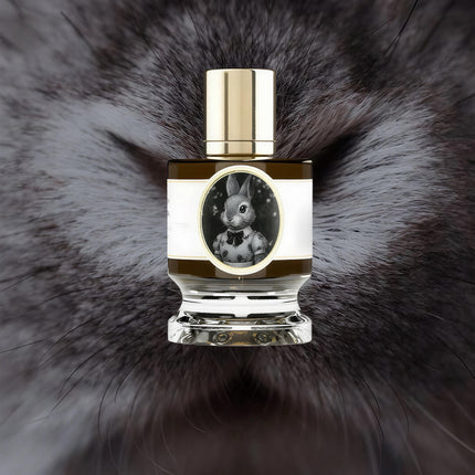 Zoologist Rabbit Sample