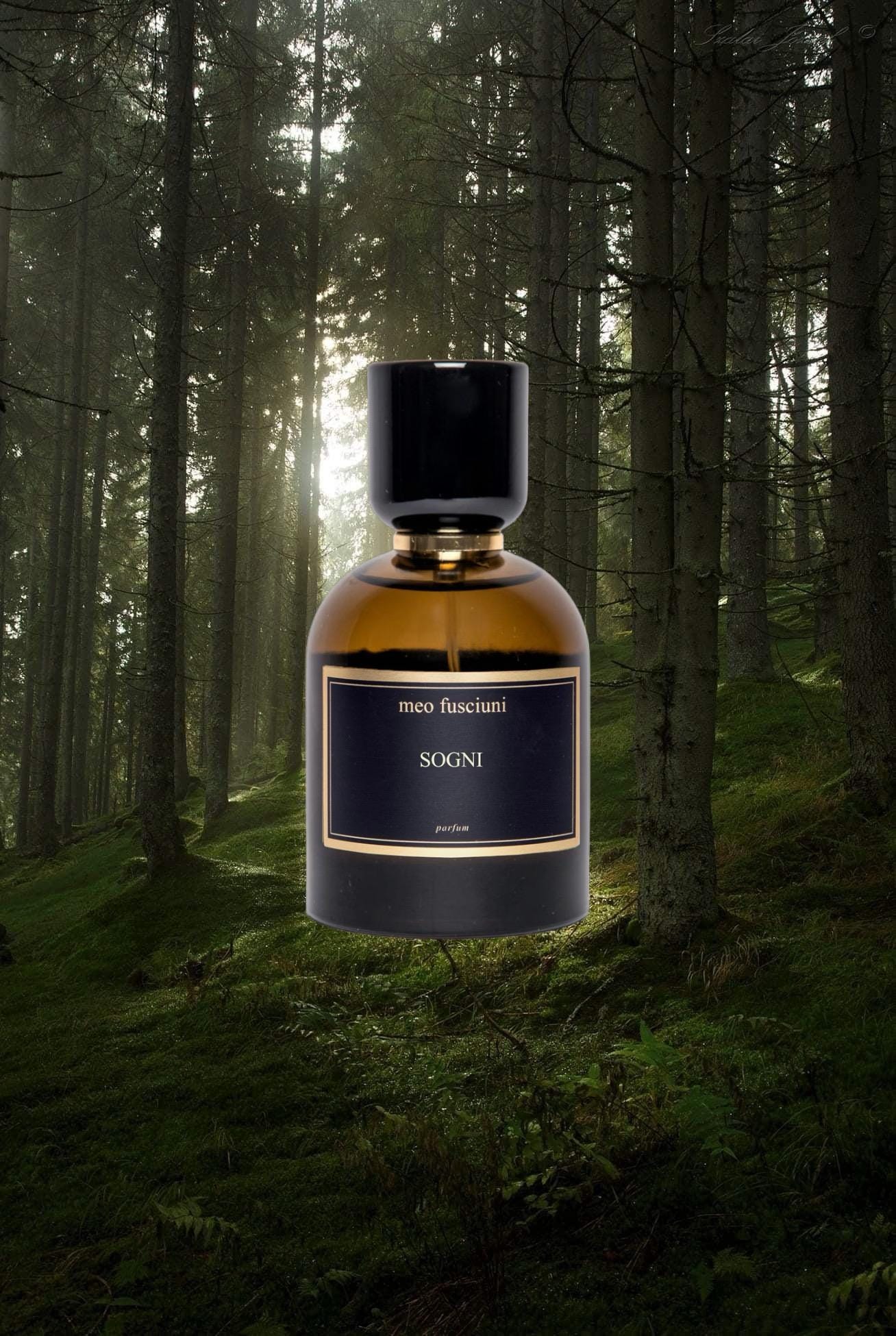 Meo Fusciuni Sogni Sample
