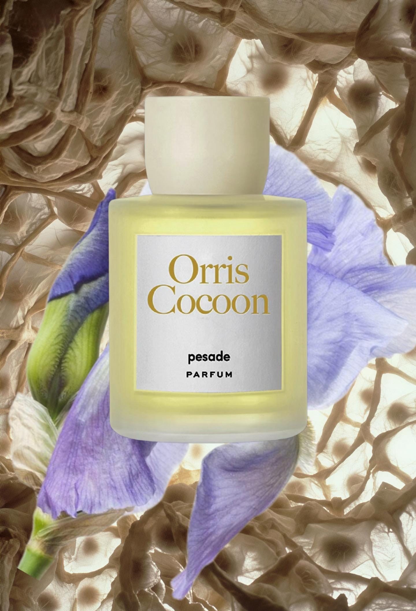 Pesade Orris Cocoon Sample