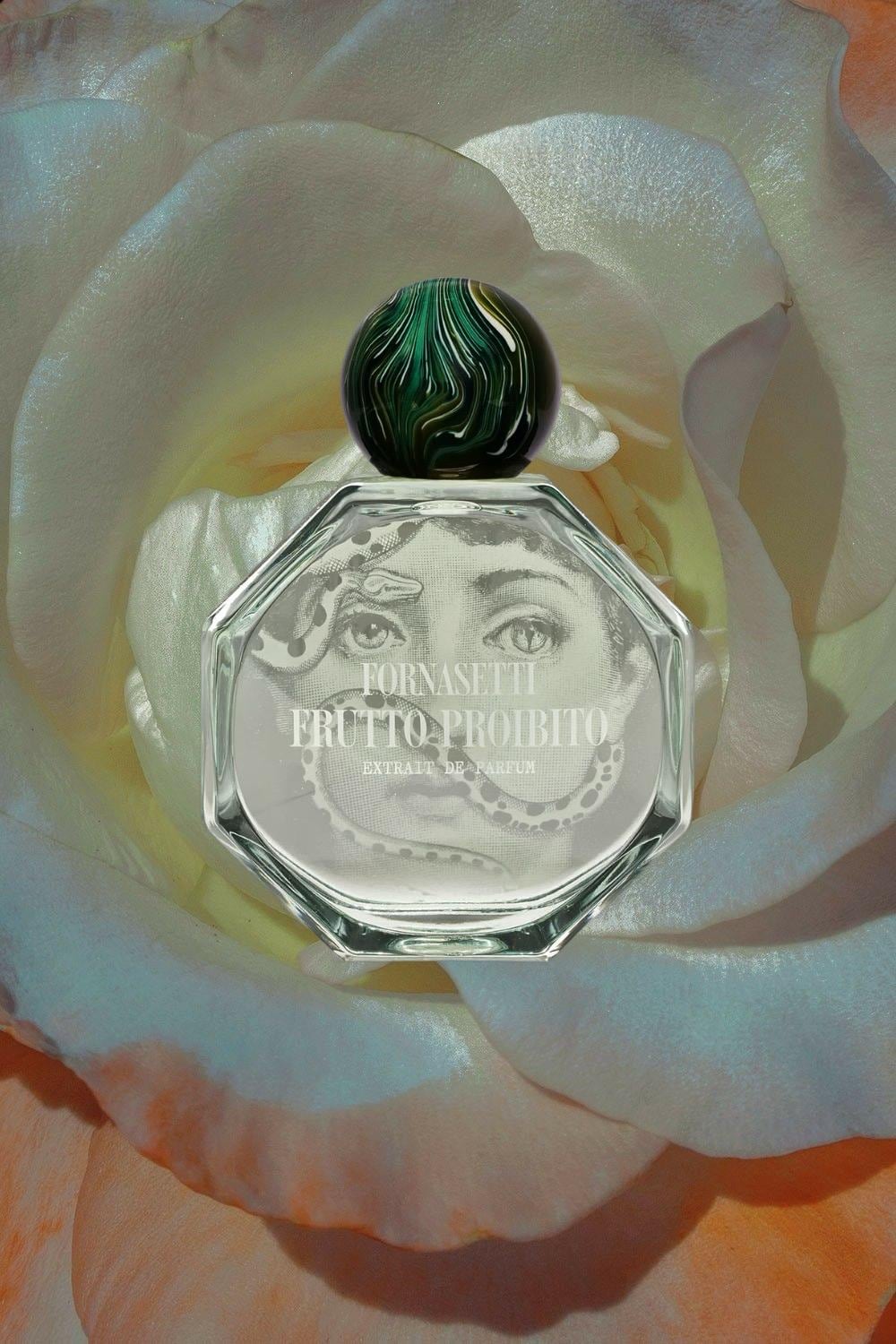 Fornasetti Frutto Proibito Sample