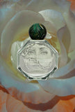 Fornasetti Frutto Proibito Sample